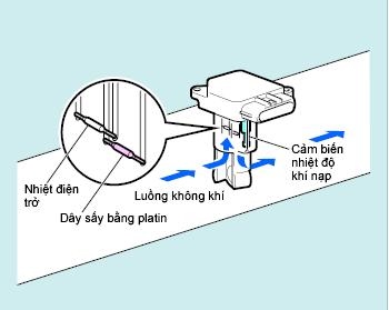 Cảm biến nhiệt độ khí nạp