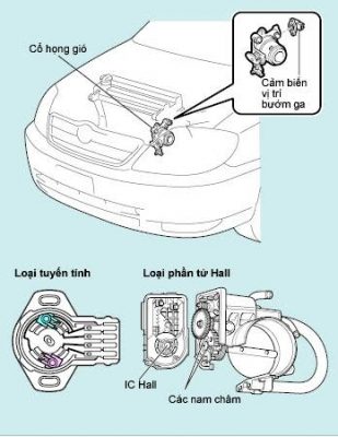 Cảm biến vị trí bướm ga
