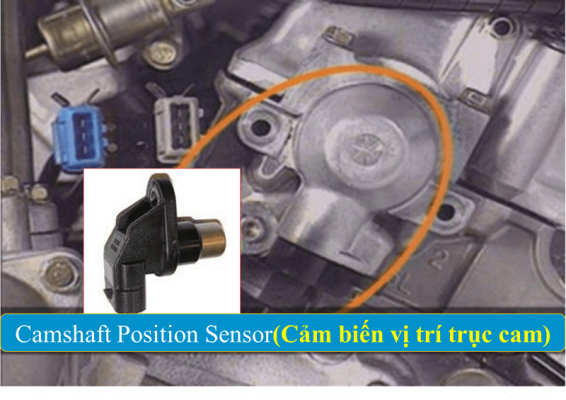 Cảm biến trục cam