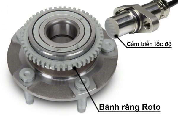 Lỗi do roto của cảm biến ABS