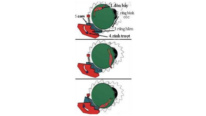 Dây đai an toàn 5