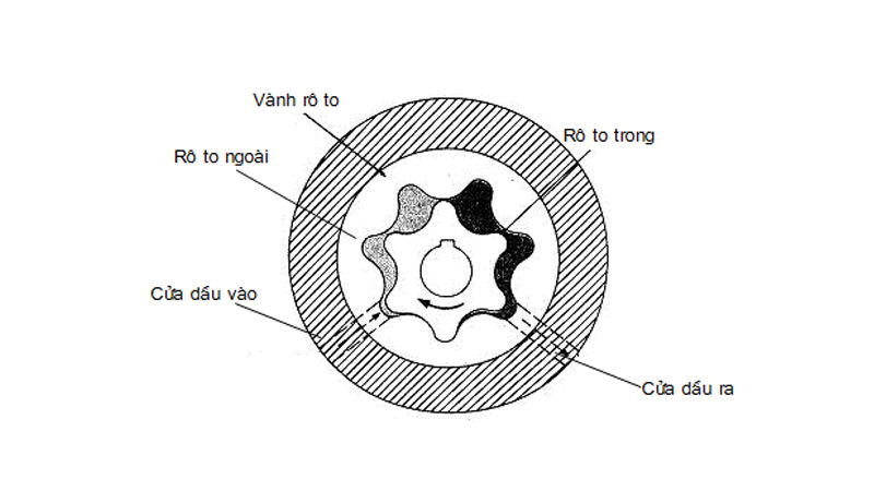 Cấu tạo của bơm dầu kiểu roto Cấu tạo của bơm dầu kiểu roto